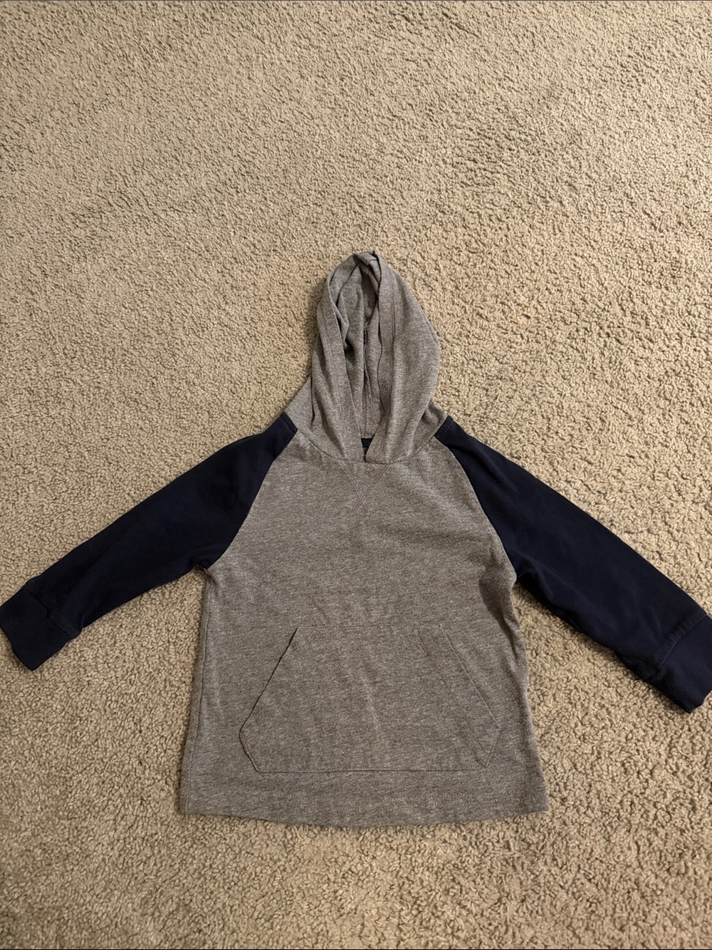 Garanimals Hooded Raglan Sweatshirt in Gray and Navy